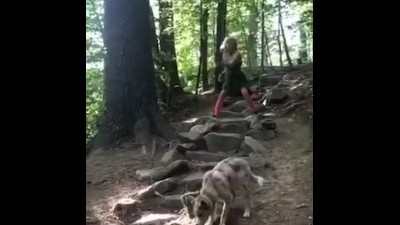 Hooptastic