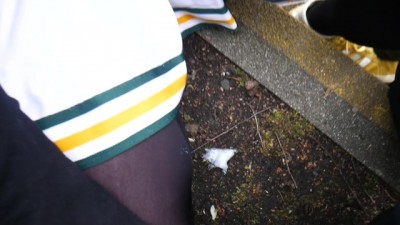 100K Celebration: Mouthful Madness in the Wild