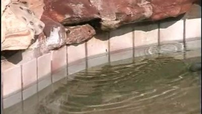 Wet 'N Wild: Naughty Splash Course Scene 4