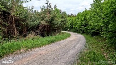Wild Public Forest Sex Adventure with a Stranger